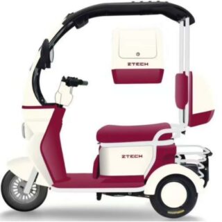 Z-Tech ZT-64 Beefly (Tetővel Ellátott) Elektromos Jármű